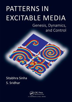 Cover Patterns in Excitable Media (eBook, PDF)