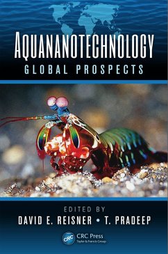 Cover Aquananotechnology (eBook, PDF)
