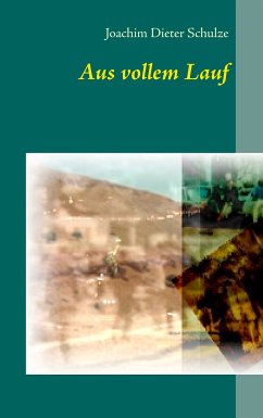 Aus vollem Lauf (eBook, ePUB)