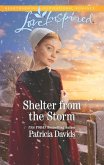 Shelter from the Storm (eBook, ePUB)