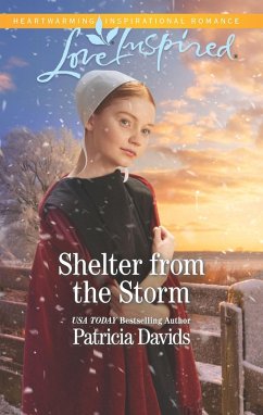 Shelter from the Storm (eBook, ePUB) - Davids, Patricia