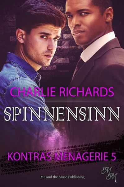 Spinnensinn (eBook, ePUB)
