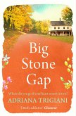 Big Stone Gap (eBook, ePUB)