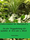 Liebesromane im Multipack 4 (eBook, ePUB)