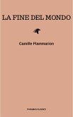 La fine del mondo (eBook, ePUB)