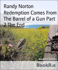 Redemption Comes From The Barrel of a Gun Part 2 The End (eBook, ePUB) - Norton, Randy