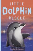 Little Dolphin Rescue (eBook, ePUB)