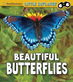 Beautiful Butterflies - Higgins, Melissa