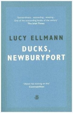 Ducks, Newburyport - Ellmann, Lucy