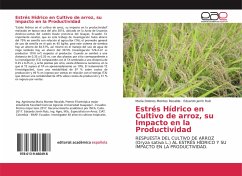 Estrés Hídrico en Cultivo de arroz, su Impacto en la Productividad