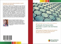 Produção de biocarvões ativados a partir de biomassa agrícola - Maia Brito, Gilberto;C. C. Freitas, Jair;Schettino, M. A.