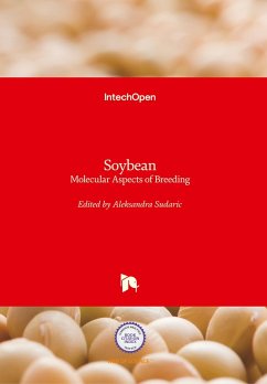 Soybean Soybean