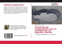 Propuesta de cogeneración para la localidad de Los Negritos, México