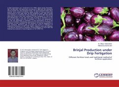 Brinjal Production under Drip Fertigation