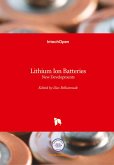 Lithium Ion Batteries