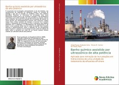 Banho químico assistido por ultrassônico de alta potência - Andrade Achy, Acbal Rucas;Castro, Bruno B.;Muniz Pepe, Iuri