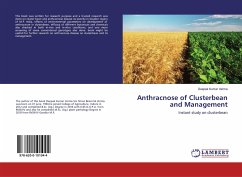 Anthracnose of Clusterbean and Management