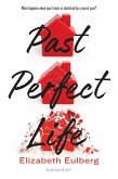 Past Perfect Life (eBook, ePUB)