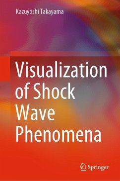 Cover Visualization of Shock Wave Phenomena (eBook, PDF)