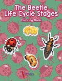 The Beetle Life Cycle Stages Coloring Book