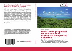 Derecho de propiedad de comunidades étnicas en bosques de Colombia