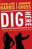 Dig Here (eBook, ePUB)
