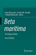 Beta maritima - Bild 1