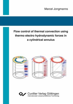 Flow control of thermal convection using thermo electro hydrodynamic forces in a cylindrical annulus - Jongmanns, Marcel