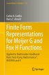 Finite Form Representations for Meijer... - Bild 1