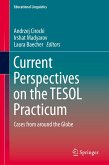 Current Perspectives on the TESOL Practicum