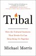 Tribal (eBook, ePUB) - Bild 1