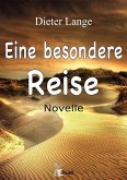 Eine besondere Reise (eBook, PDF)