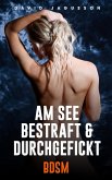 Am See bestraft & durchgefickt [BDSM] (eBook, ePUB)