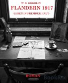 Flandern 1917 (eBook, ePUB)