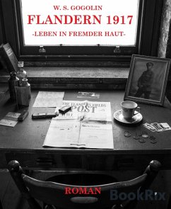 Flandern 1917 (eBook, ePUB) - Gogolin, W. S.