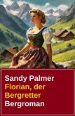 Florian, der Bergretter (eBook, ePUB)