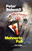 Mehnerts Fall (eBook, ePUB)