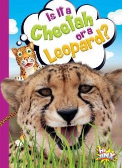 Is It a Cheetah or a Leopard? - Terp, Gail