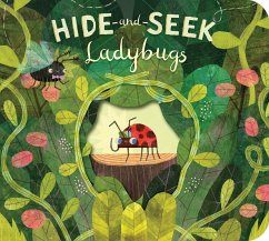 Hide-And-Seek Ladybugs - Bright, Paul