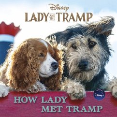 Cover Lady and the Tramp: How Lady Met Tramp