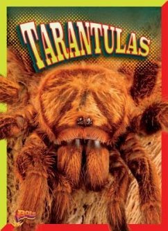 Tarantulas - Gitlin, Marty