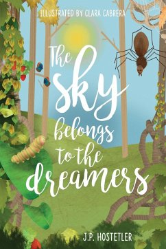 The Sky Belongs to the Dreamers - Hostetler, J. P.