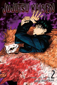 Jujutsu Kaisen, Vol. 2 - Akutami, Gege