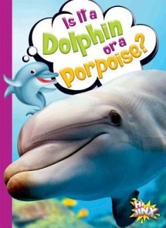 Is It a Dolphin or a Porpoise? - Terp, Gail
