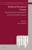 Medieval Perceptual Puzzles: Theories of Sense Perception in the 13th and 14th Centuries