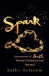 Spark - Bild 1