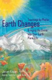 Earth Changes: Teachings by Phylos: Bringing the Divine Into Your Earth Plane Life