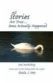 All Stories Are True ... Some Actually Happened: Soul Snorkeling: Stories and Art for looking below the surface