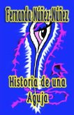 Historia de una Aguja