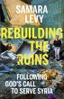 Rebuilding the Ruins (eBook, ePUB) - Bild 1